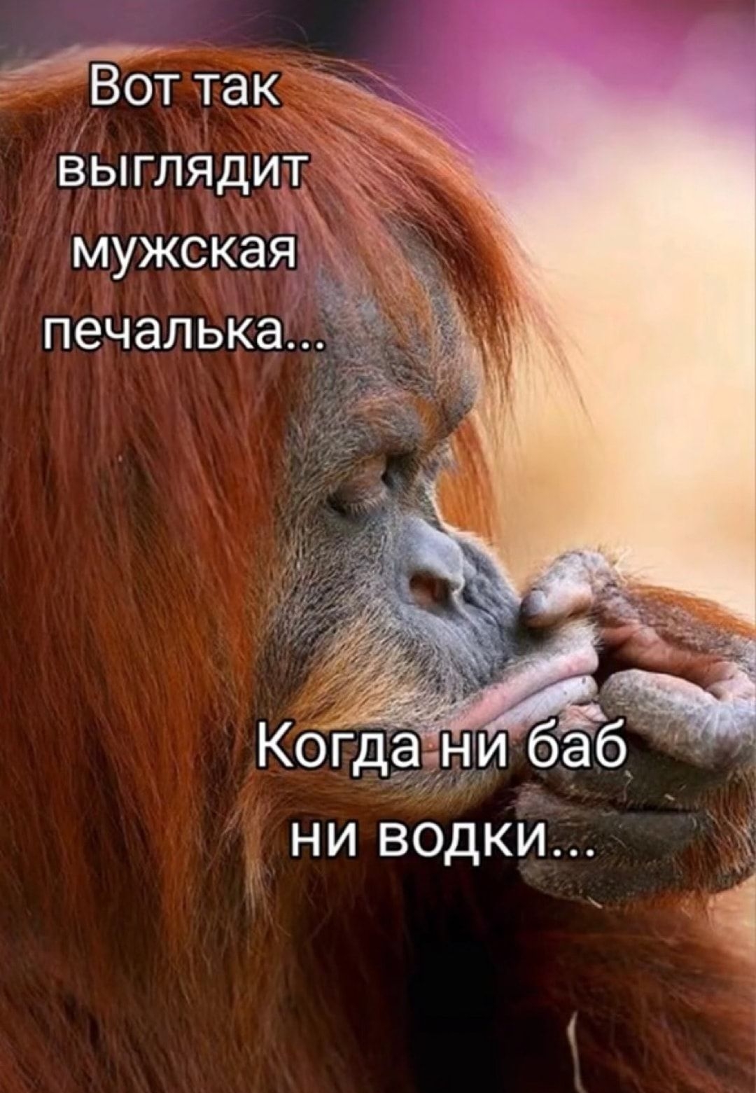 498 от так д ёыглядит мужская печалькадд 5