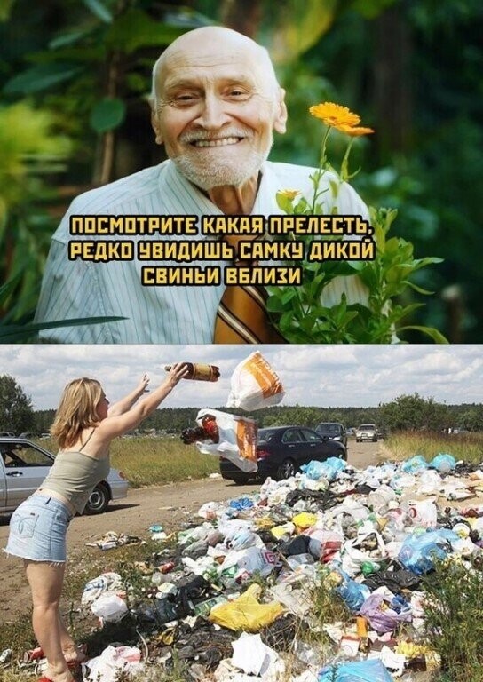 пикантный _ шпшь сд__шыд свиньи шапщзи