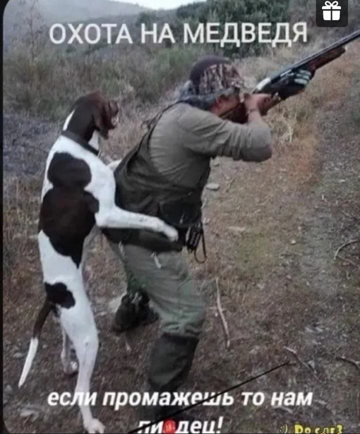 промажвшь тана тлеи и им