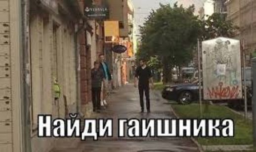 Найди гаіишнина