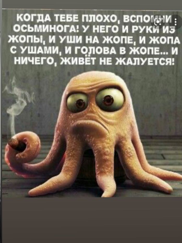 КОГДА ТЕВ ПЛОХО ВСПОМНИ к ООЬЦИНОГА У НЕГО И РУКИ ИЗ ЖОПЫ И иш ИА ЖОПЕ И ЖОПА О УЩМИ И Г ОВА В ЖОПИ НИЧЕГО КИВ И ЖАЛУЕТОЯ