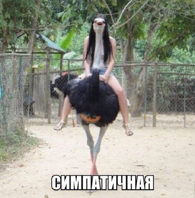 еимпштичндя