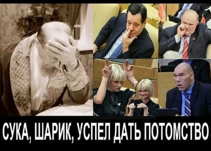 СУКА ШАРИК УСПЕЛ ДАТЬ ПОТОККСТВО