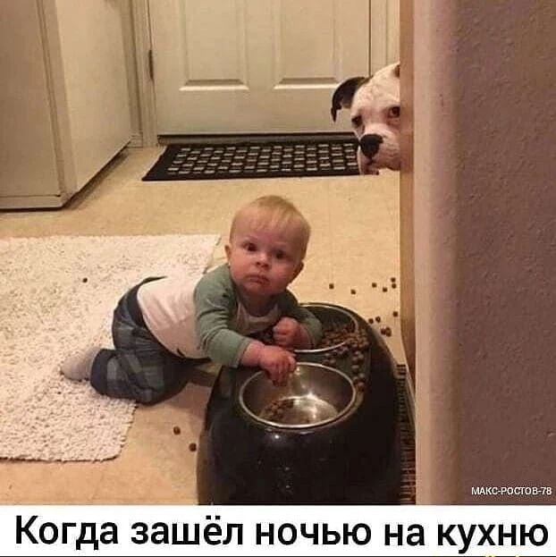 МАКС РОСТОВ 78 Когда зашёл ночью на кухню