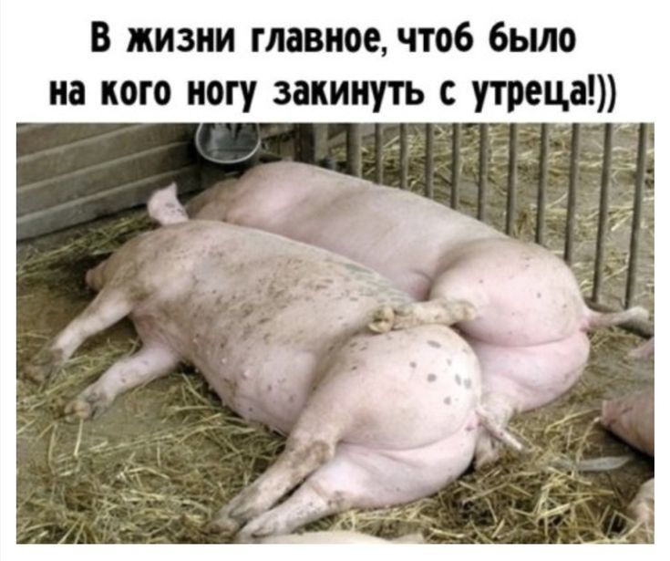 В жизни главное чтоб бьшо на кого ногу закинуть утреца