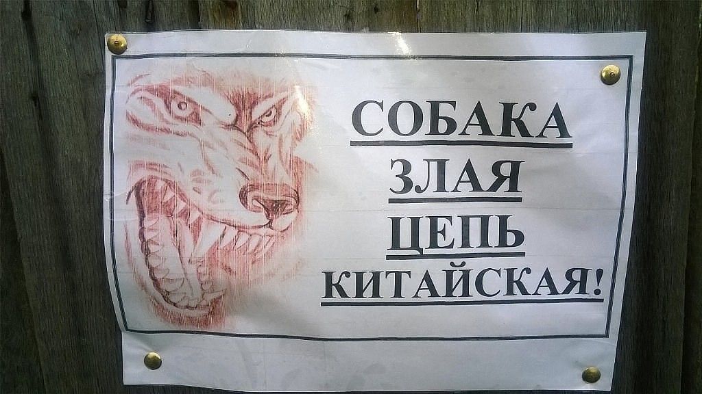 ЗЛАЯ ЦЕПЬ