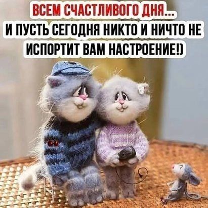 Всем счастливого дня  вого дня.  И пусть сегодня никто и ничто не испортит вам набтрпение'
