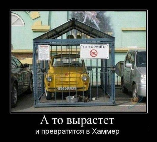 А то вырастет и превратится в Хаммер