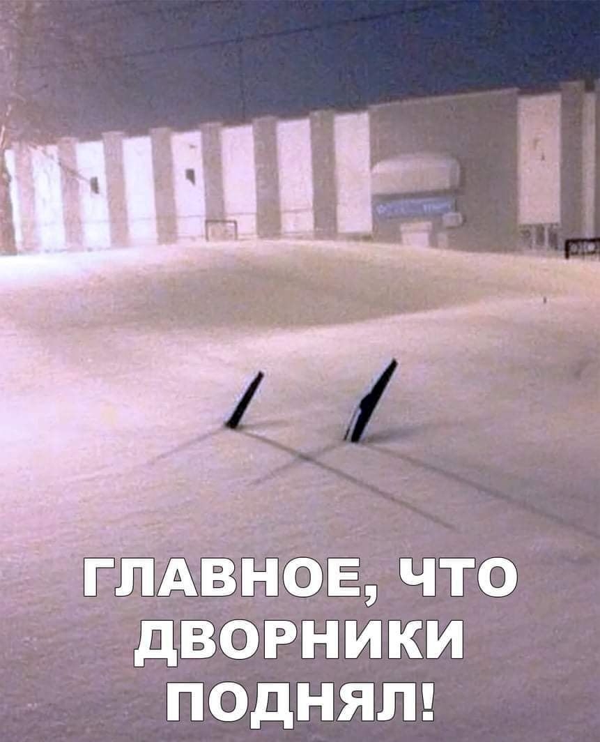 7 д воРники ПОдНЯЛ