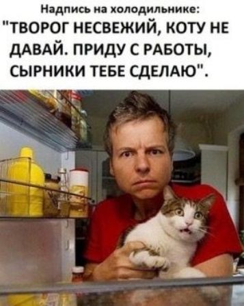 надпис холодильнике ТВОРОГ НЕСВЕЖИЙ КОТУ НЕ ДАВАЙ ПРИДУ С РАБОТЫ СЫРНИКИ ТЕБЕ СДЕЛАЮ