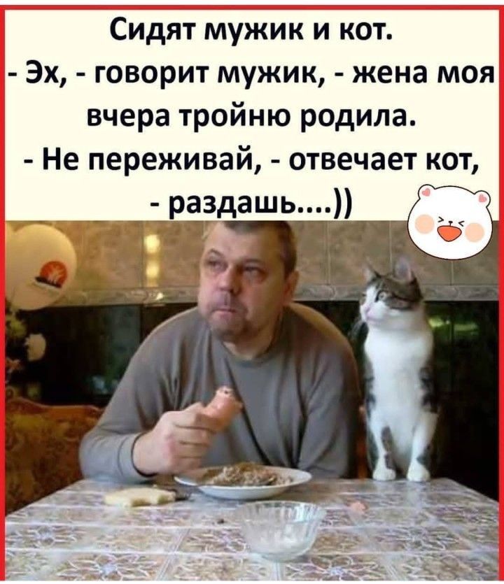 Сидят мужик и кот Эх говорит мужик жена моя вчера тройню родила Не переживай отвечает кот раздашь