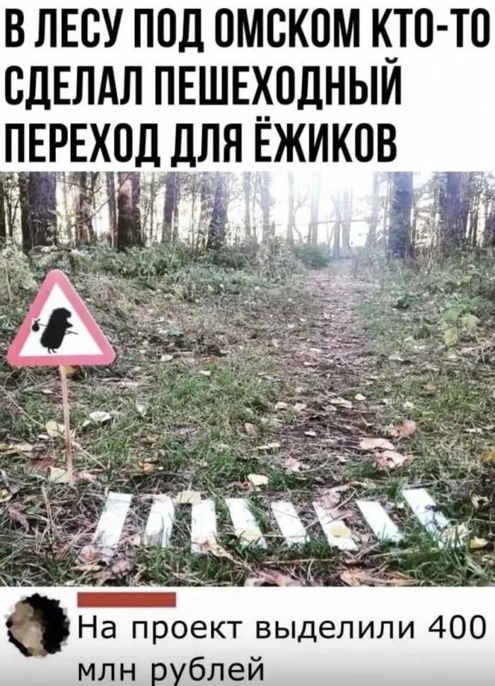 В ЛЕСУ ПОД ОМСКОМ К_Т0 Т0 СДЕЛАЛ ПЕШЕХОДНЫИ ПЕРЕХОД ДЛЯ ЕЖИКПВ _ яд На проект выделили 400 млн блей