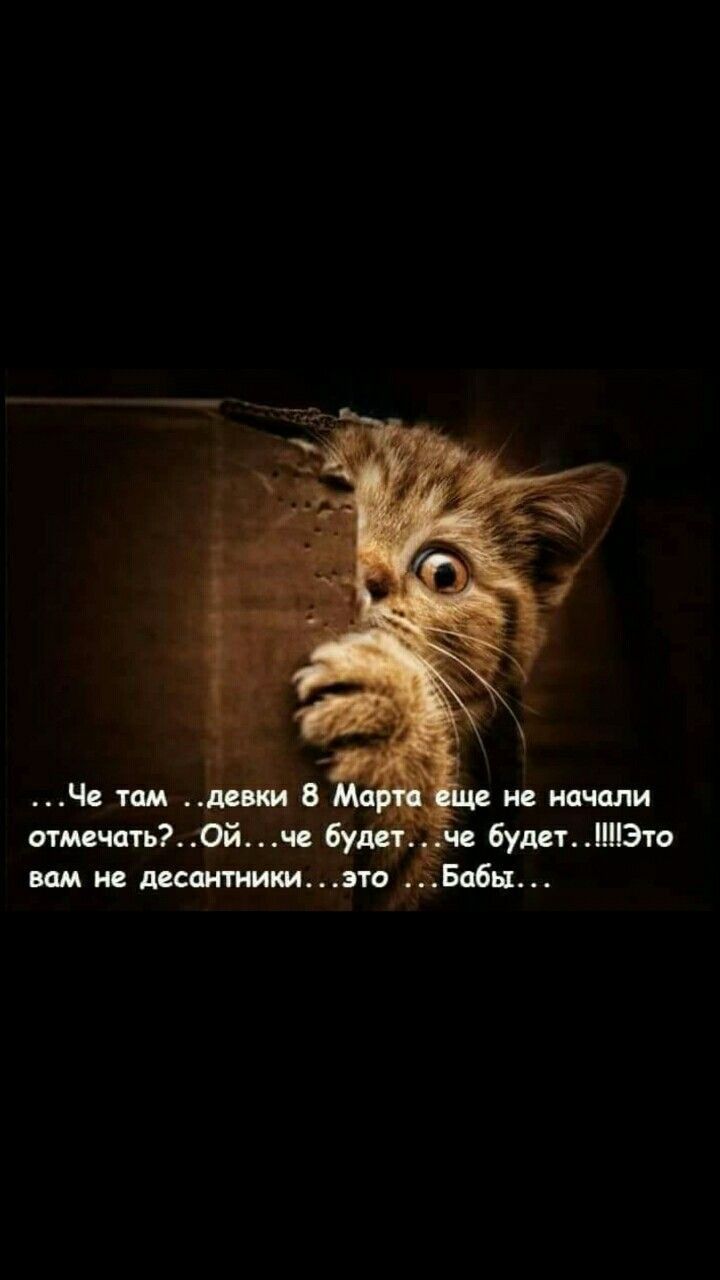 _ не начали отмечать Ой че будет будетПЭто вам не десантники это Бабы