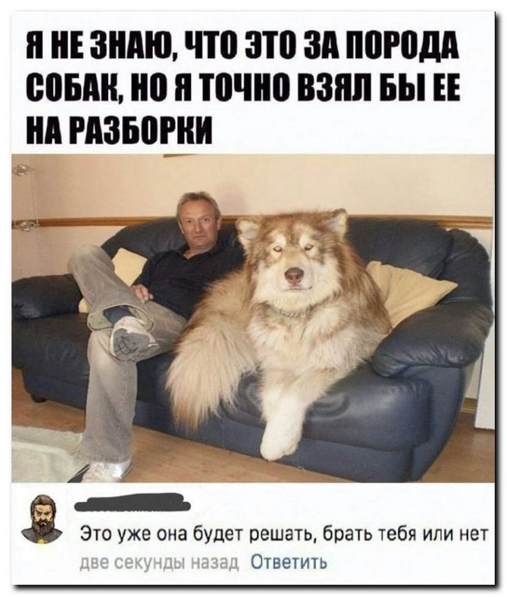 ЗНАЮ что ЗШ зд ПШПДП БВБА и точно ВЗЯЛ БЫ нд 350 Это уже она будет решать брать тебя или нет Ответить