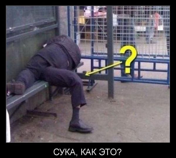 СУКА КАК ЭТО