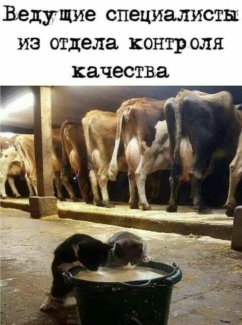 Ведущие специалисты из отдела контр оля качества