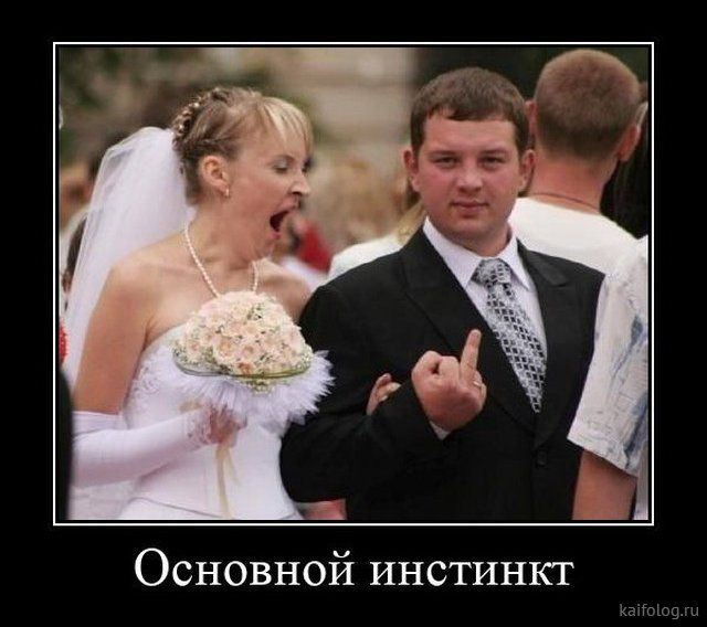 Основной инстинкт к 5109 и