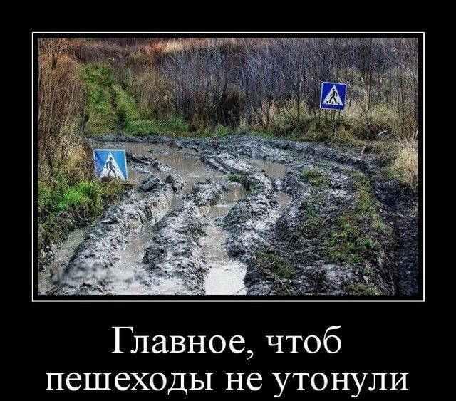 Главное чтоб пешеходы не утонули катод