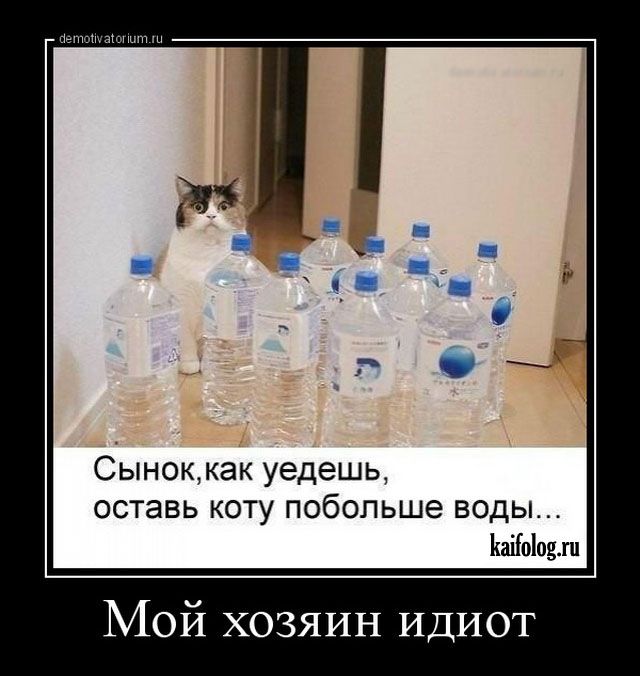 Сыноккак уедешь ОСТЭВЬ КОТУ побольше ВОДЫ ЬаіЫомн Мой хозяин ИДИОТ