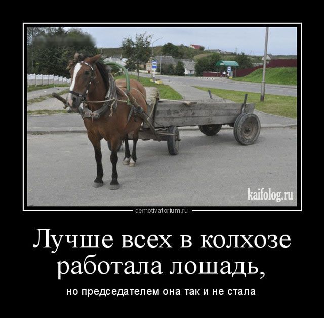 неоизюншп п Лучше всех в колхозе работала лошадь НО председателем она ТВК И НЕ СТВПЗ