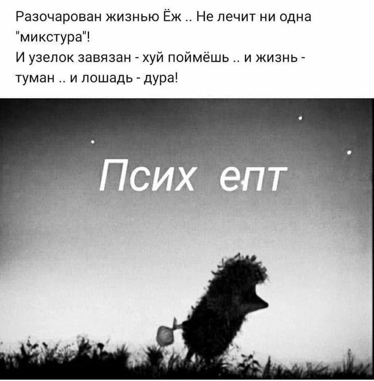 Разочарован жизнью Ёж Не лечит ни одна микстура И узелок завязан хуй поймёшь и жизнь туман и лошадь дура