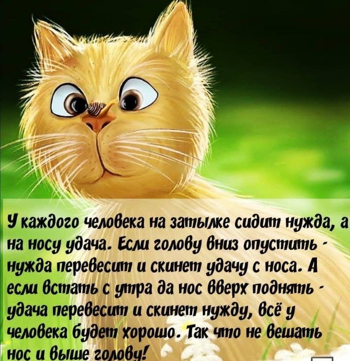 у каждого человека на затылке сидит нужда на носу удача Ест омбу вниз опустить нужда перебесшп и скинет удачу носа А если Встать с утра да нос бберк поднять удача перешит и скинет нужду всё у челобека будет хорошо Так что не делать нос и Выше зомби