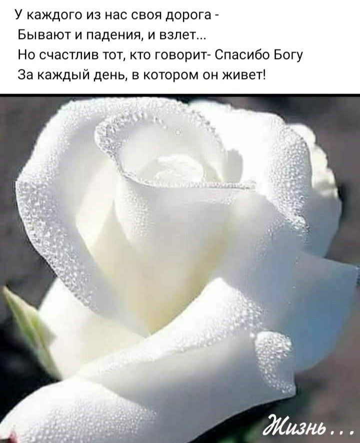 У каждого из нас своя дорога Бывают и падения и взлет Но счастлив тот кто говорит Спасибо Богу За каждый день в котором он живет