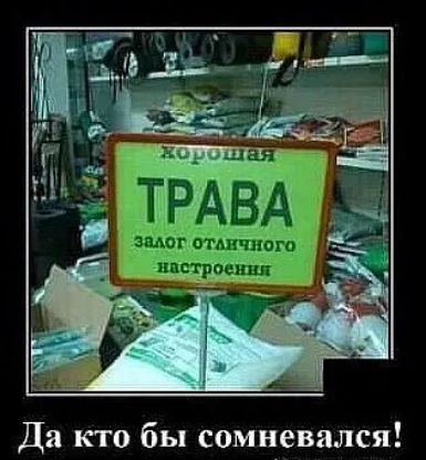 Да кто бы сомневался