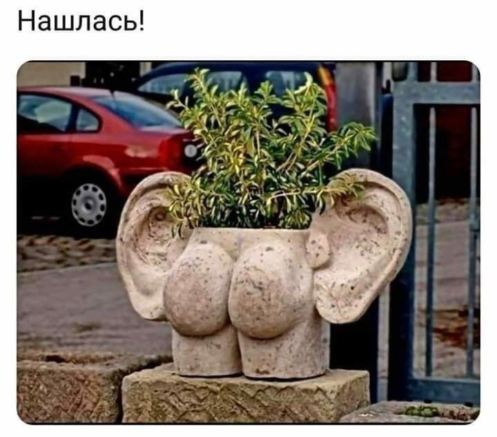 Нашлась