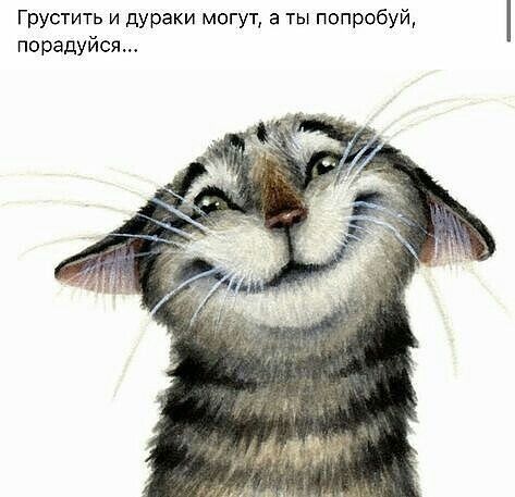 Грустить И дураКИ могут а ты попробуй порадуйся