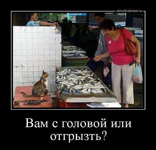 дышапшп _ _ Вам с головой или отгрызть