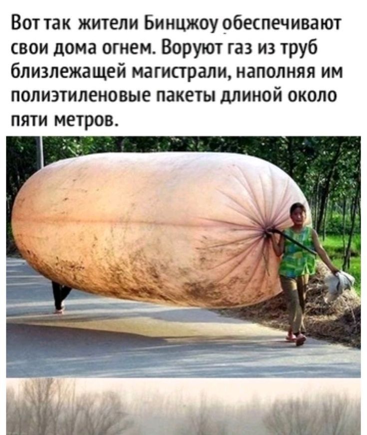 Вот так жители Бинцжоу обеспечивают свои дома огнем Воруют газ из труб близлежащей магистрали наполняя им полиэтиленовые пакеты длиной около пяти метров