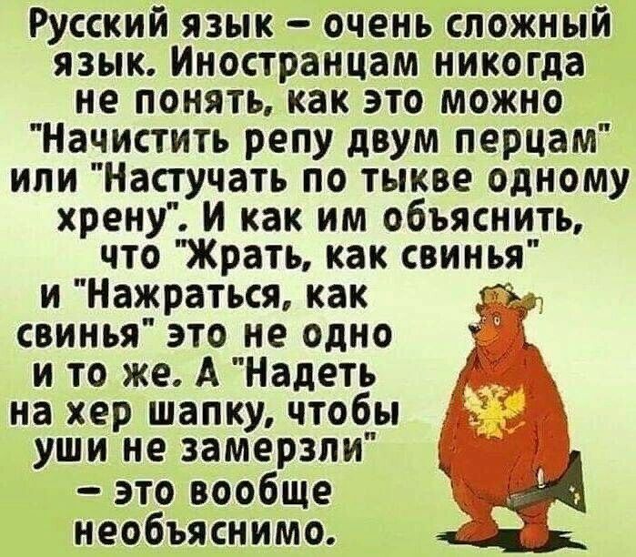 Русский язык очень сложный язык Иностранцам никогда не понять как это можно Начистить репу двум перцам или Настучать по тыкве одному хрену и как им объяснить что Жрать как свинья и Нажраться как г свинья это не одно и то же А Надеть на хер шапку чтобы д уши не замерзли д это вообще необъяснимо