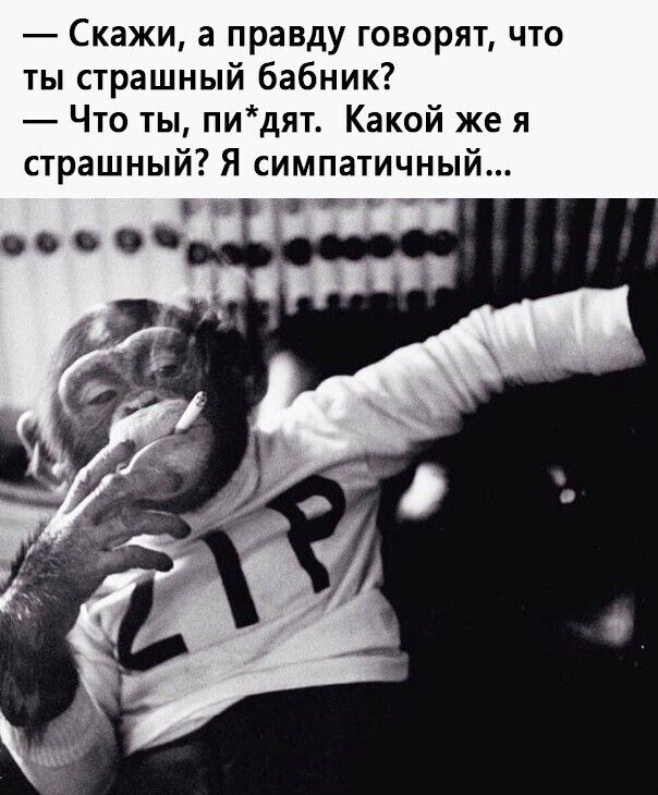 Скажи а правду говорят что ты страшный бабник Что ты пидят Какой же я страшный Я симпатичный