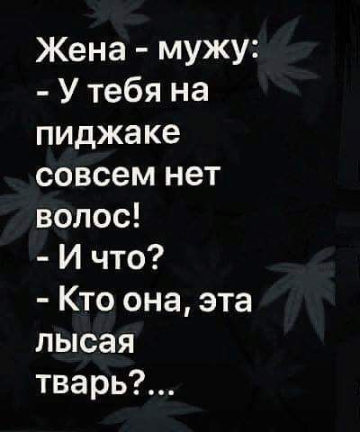 Жена мужу У тебя на пиджаке совсем нет волос И что Кто она эта лысая тварь