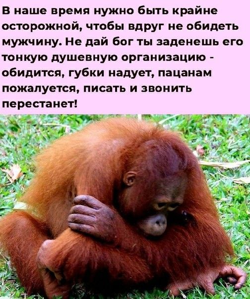 в наше время нужно быть крайне осторожной чтобы вдруг не обидеть мужчину Не дай бог ты эаденешь его тонкую душевную организацию обидится губки надувт пацанам пожалуется писать и звонить перестанет
