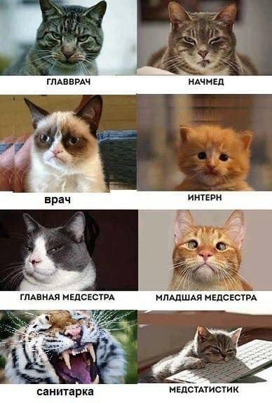 Ачнвд санитарка ЕПСТАТИСТИК