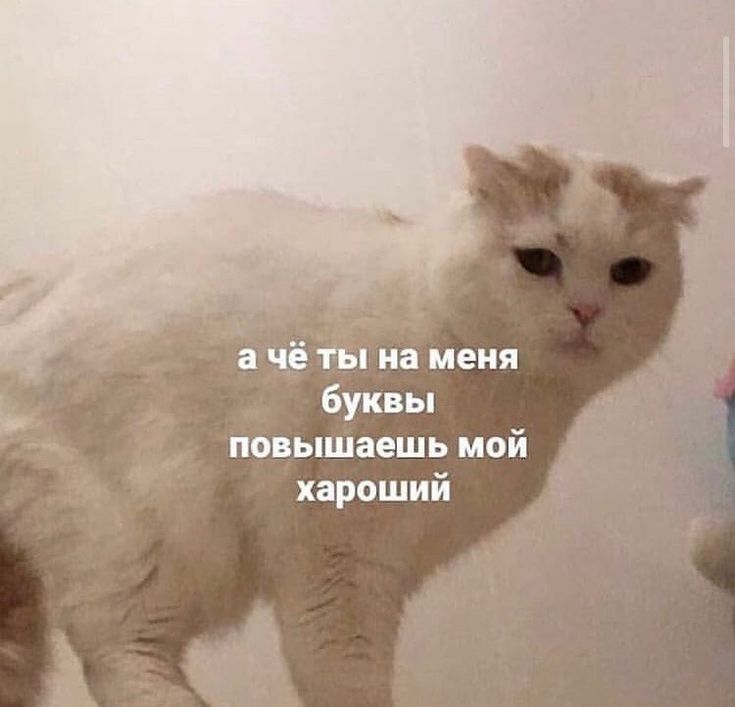 а чё ты на меня Ь буквы повышаешь мой хароший Ё