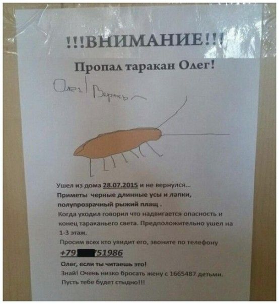 швнимшивт Прош таракан Ош 15 Б А