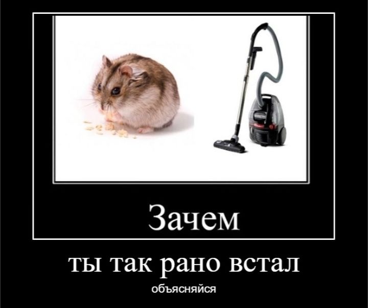 ТЫ так рано встал объясняйся