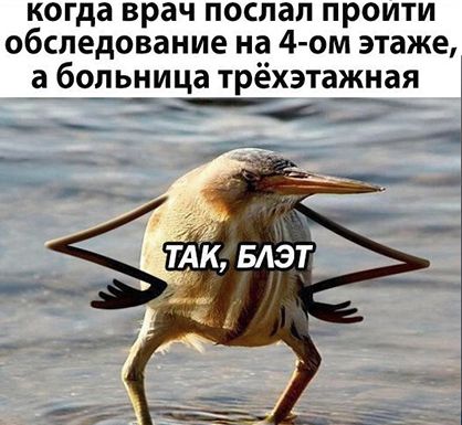 когда врач послал проити обследование на 4 ом этаже больница трёхэтажная
