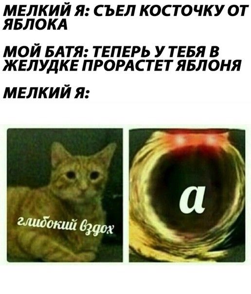 МЕЛКИЙ Я СЪЕЛ КОС ТОЧКУ ОТ ЯБЛОКА МОЙ БАТЯ ТЕПЕРЬ У ТЕБЯ В ЖЕЛУДКЕ ПРОРАСТЕТ ЯБЛОНЯ МЕЛКИЙ Я