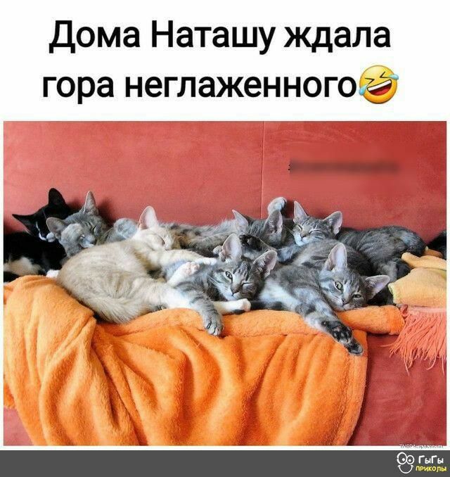 Дома Наташу ждала гора неглаженногогг