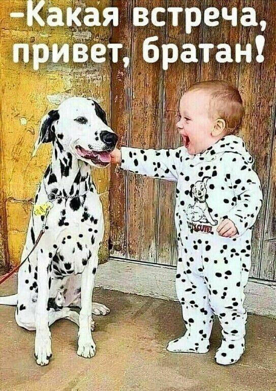 Какая встреча, привет, братан!