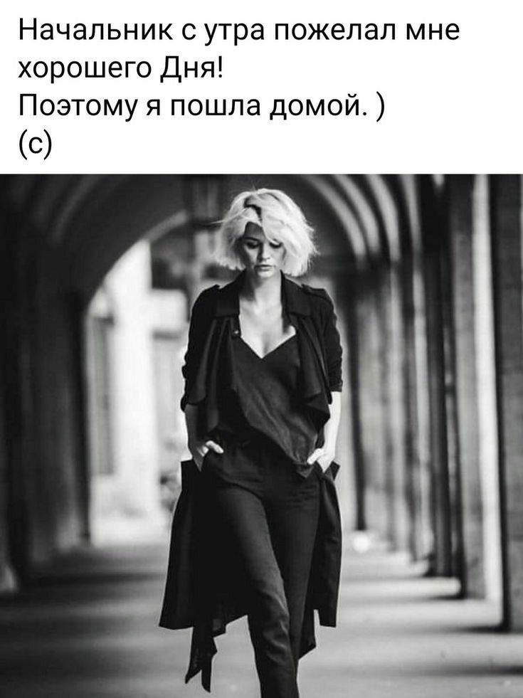 Начальник с утра пожелал мне хорошего Дня Поэтому я пошла домой С