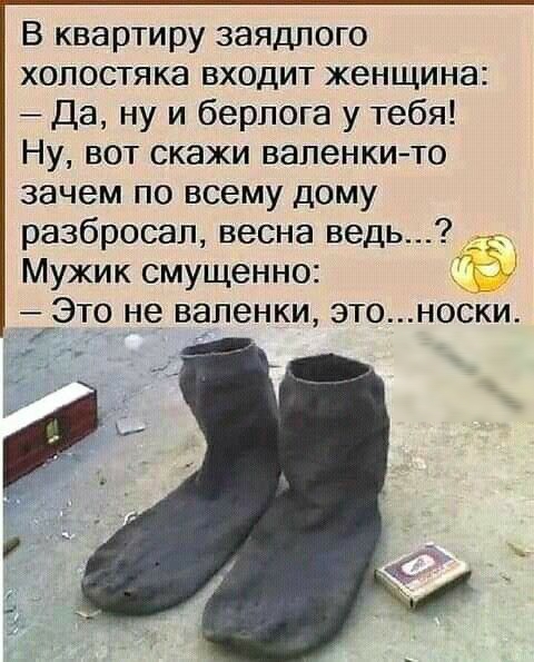 В квартиру заядлого холостяка входит женщина Да ну и берлога у тебя Ну вот скажи валенкито зачем по всему дому разбросал весна ведь _ Мужик смущенно _ Это не валенки этоноски
