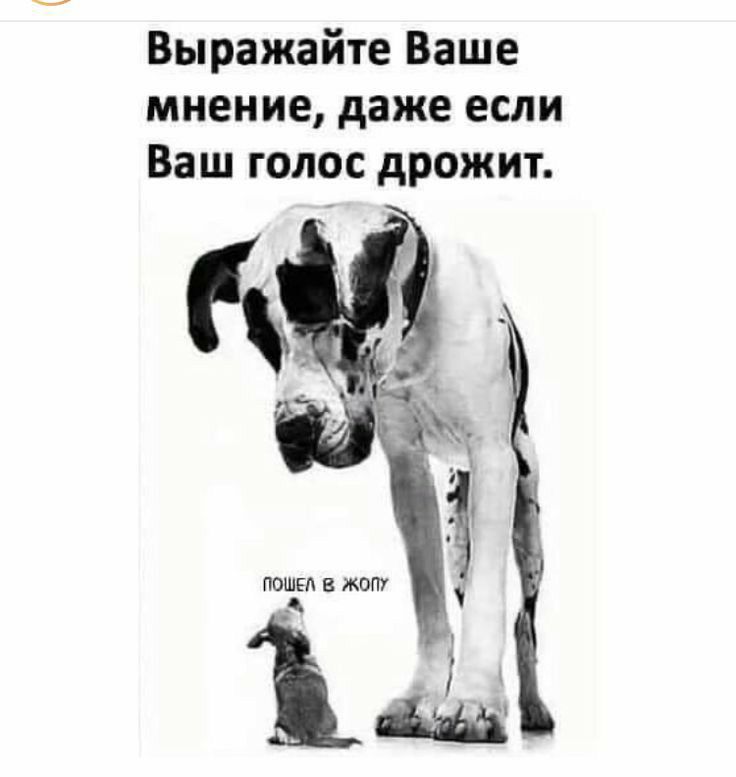 Выражайте Ваше мнение даже если Ваш голос дрожит
