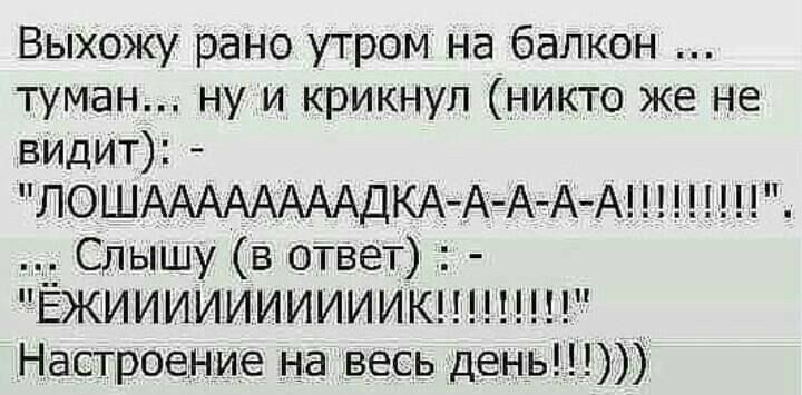 Выхожу рано утром на балкон туман ну и крикнул никто же не видит ЛОШААААААААДКАА ААА Слышу в ответ Ёжиииииииииикп Настроение на весь день