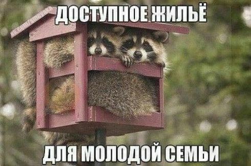 удоівйппоЕЩШ Ё к р 133