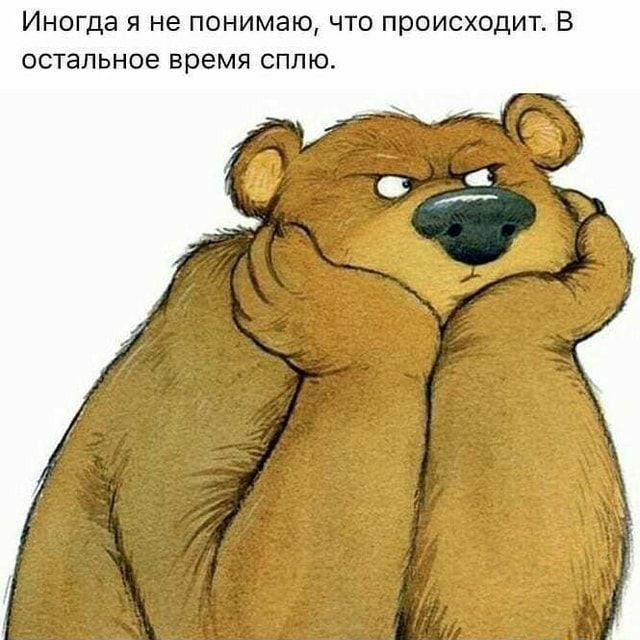 Иногда Я не понимаю ЧТО происходит В остальное время СПЛЮ